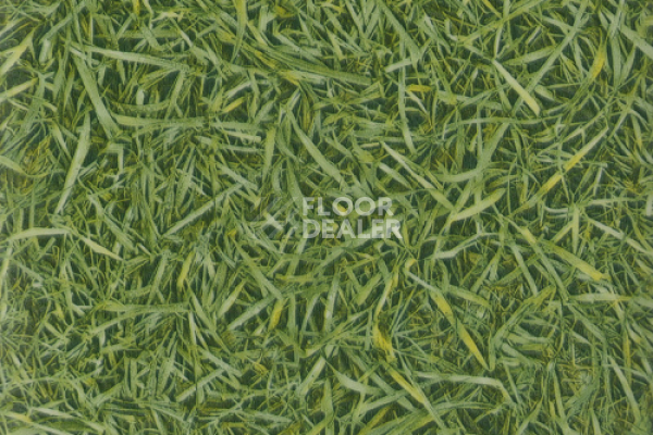 Линолеум IVC Vision Grass T25 фото 1 | FLOORDEALER